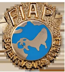 FIAP-seed-awards-badge-photo