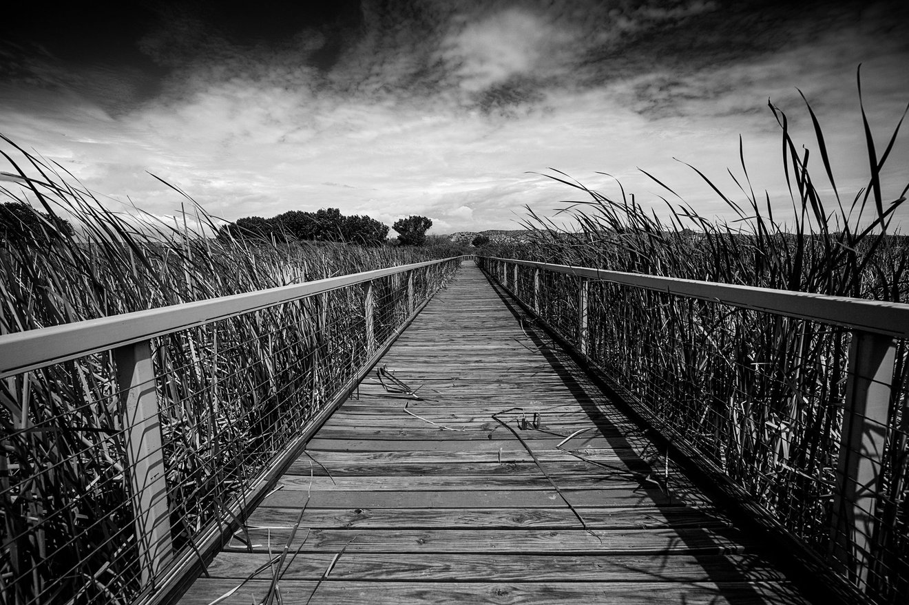 The Walkway-Seed Nft