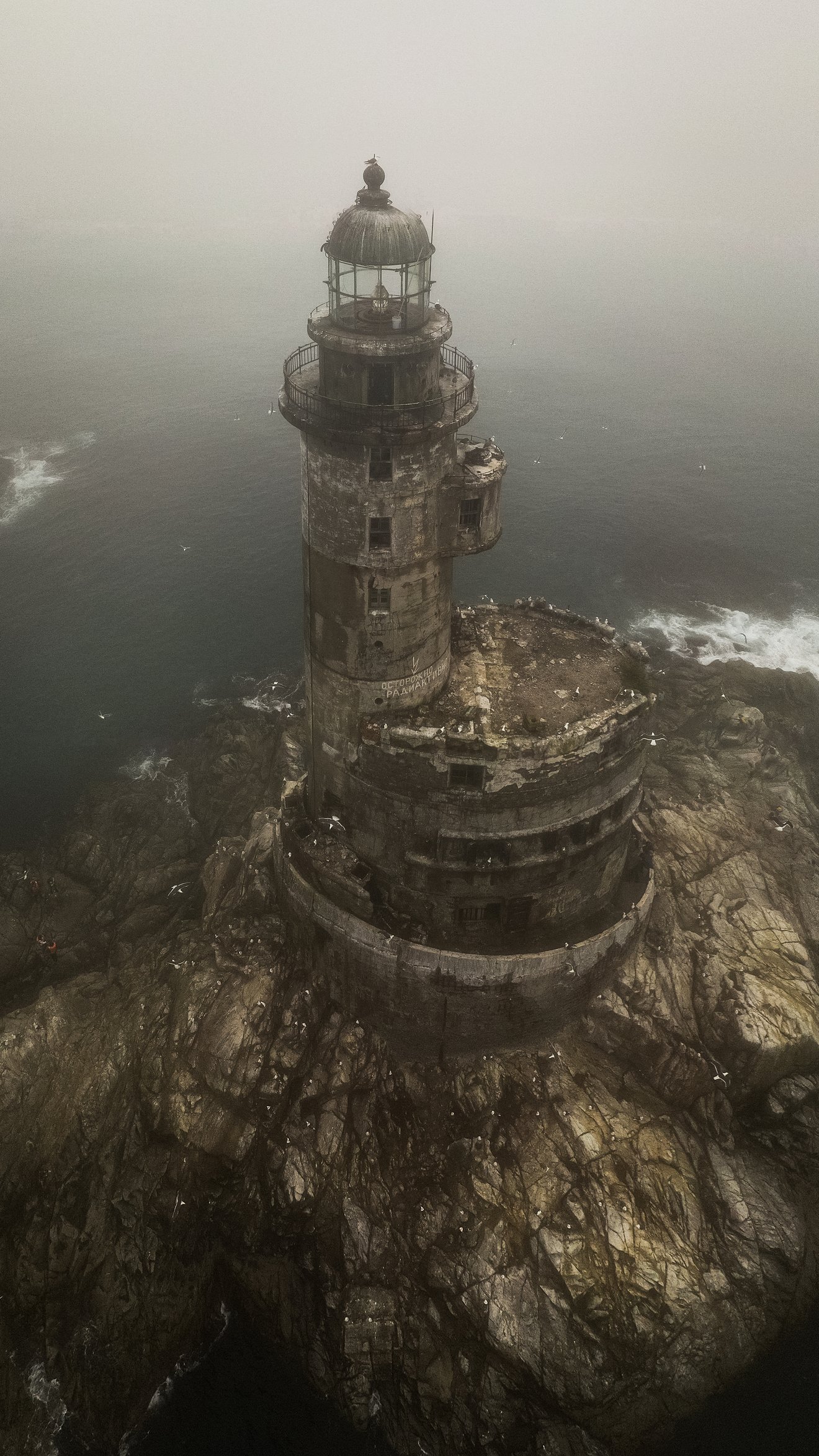Lighthouse Aniva-Seed Nft