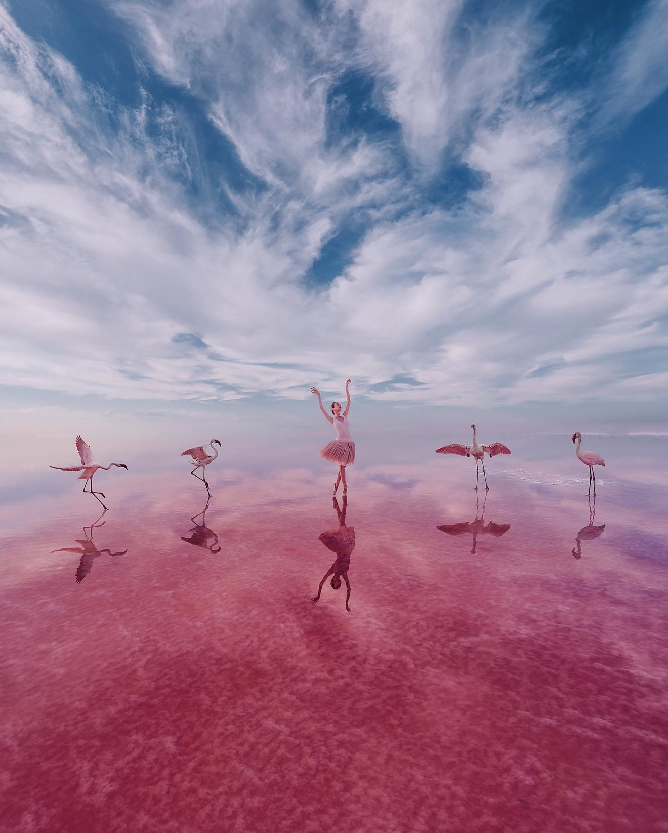 Pink lake:flamingo ballet-Seed Nft