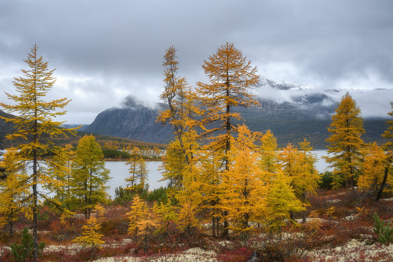 Autumn on the biologists-Seed Nft