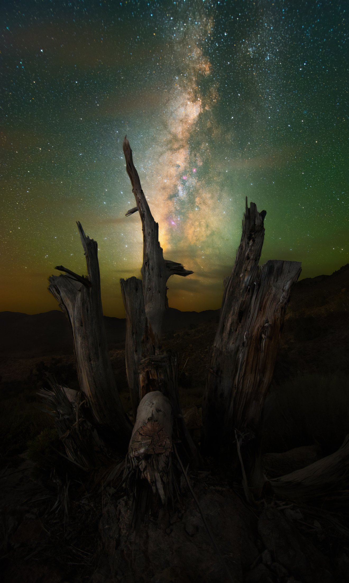 The Glory of Night-Seed Nft