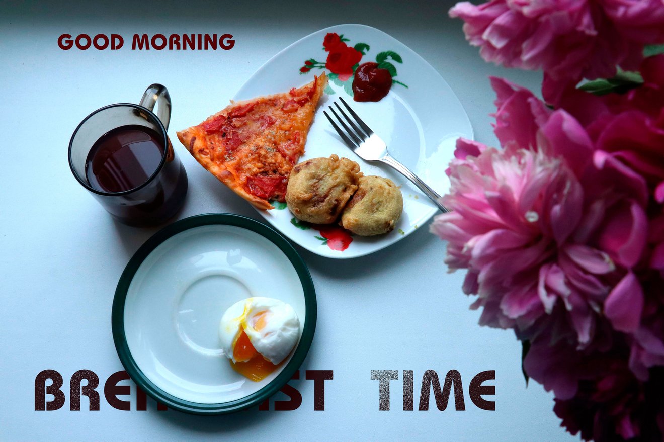 Breakfast Time-Seed Nft