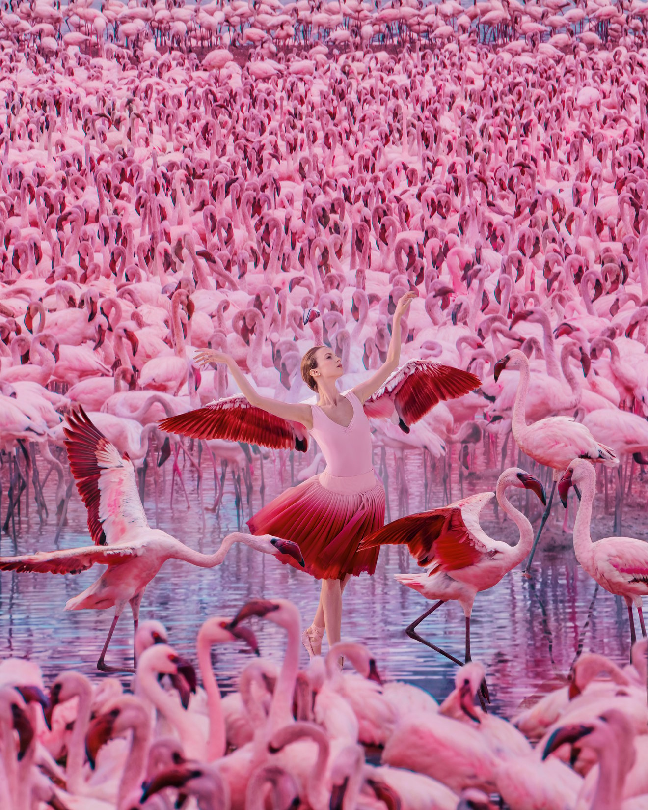 Flamingo lake-Seed Nft
