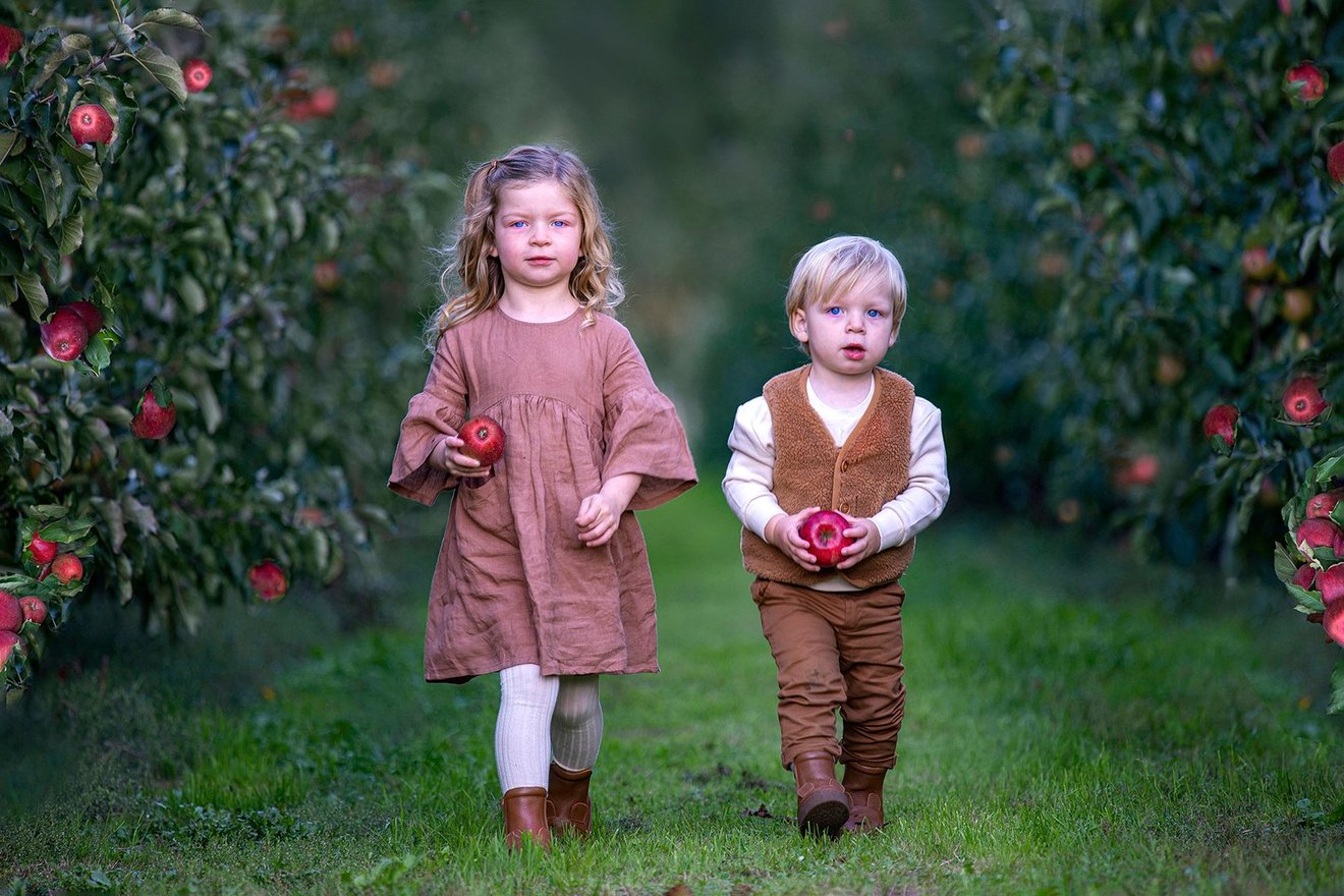 Apple Picking-Seed Nft