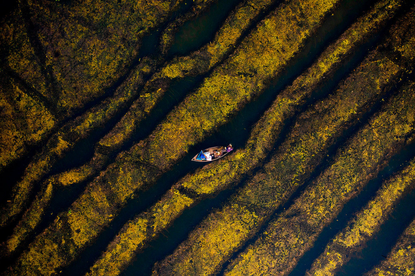 Fishing boat in the lake-Seed Nft