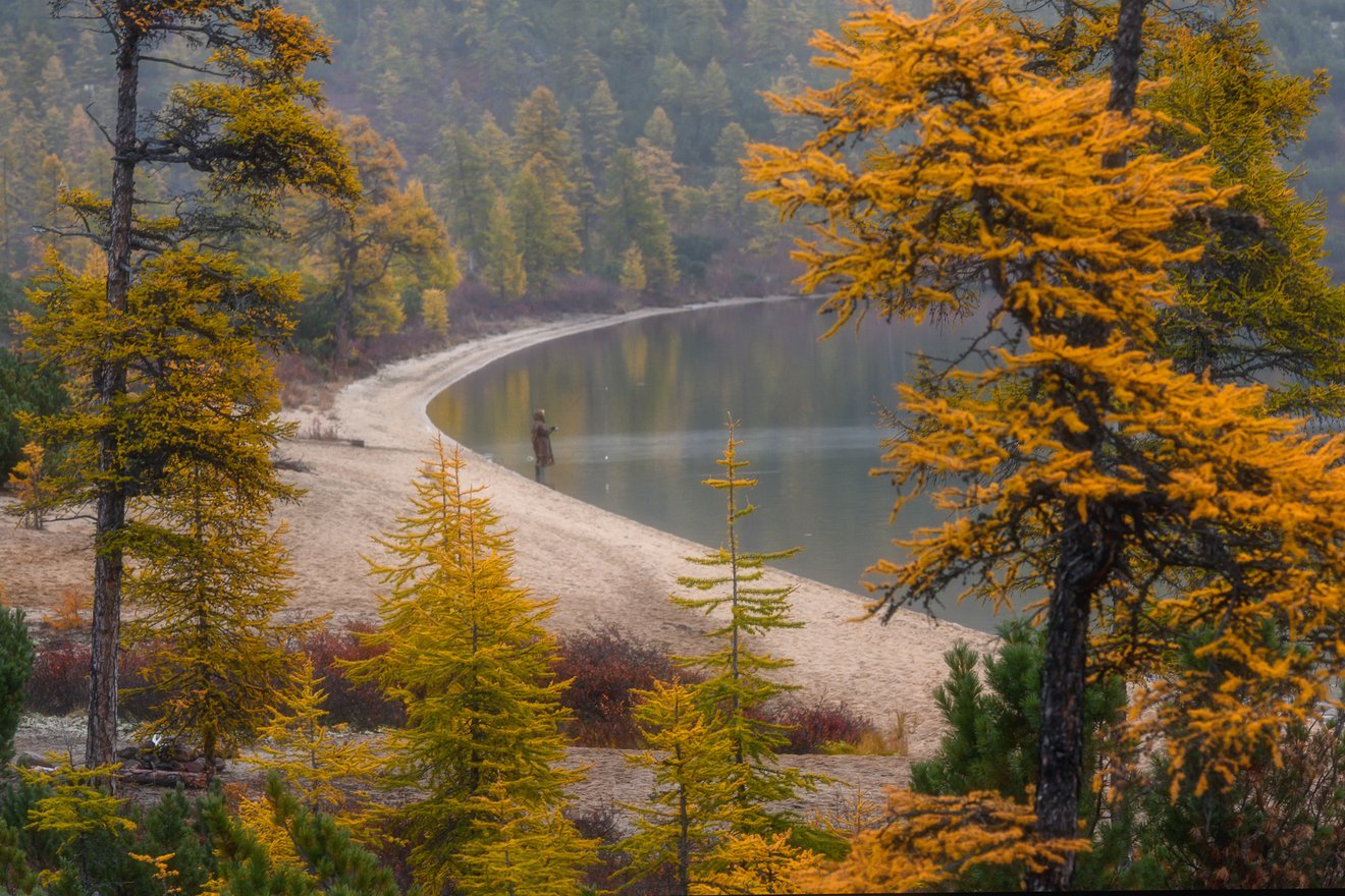 Autumn Fishing-Seed Nft