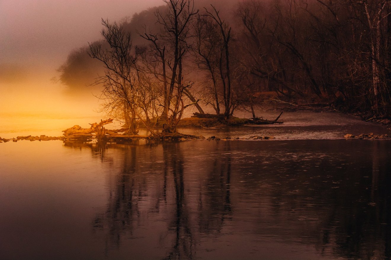 Misty Morning-Seed Nft