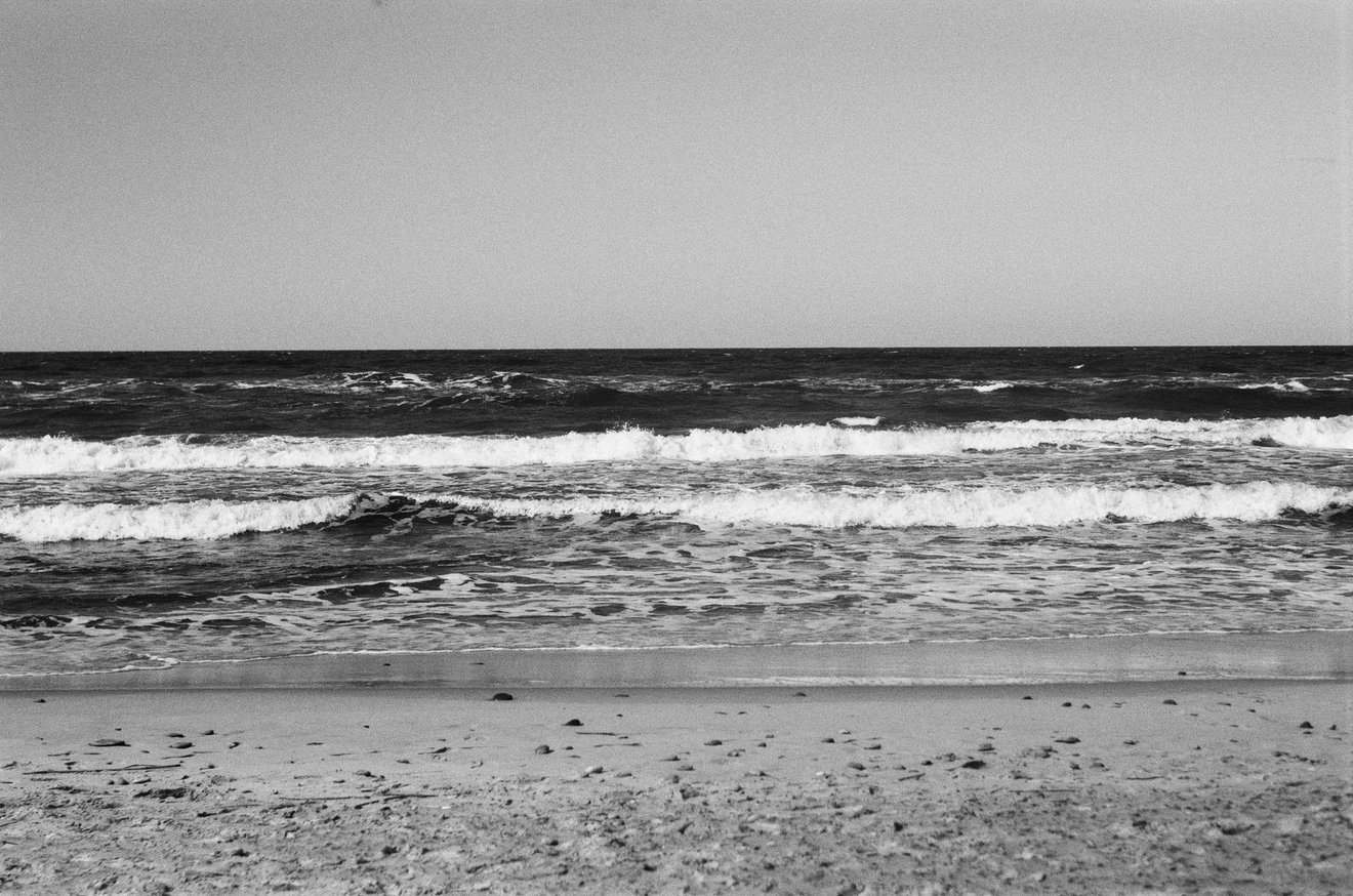 Baltic sea-Seed Nft