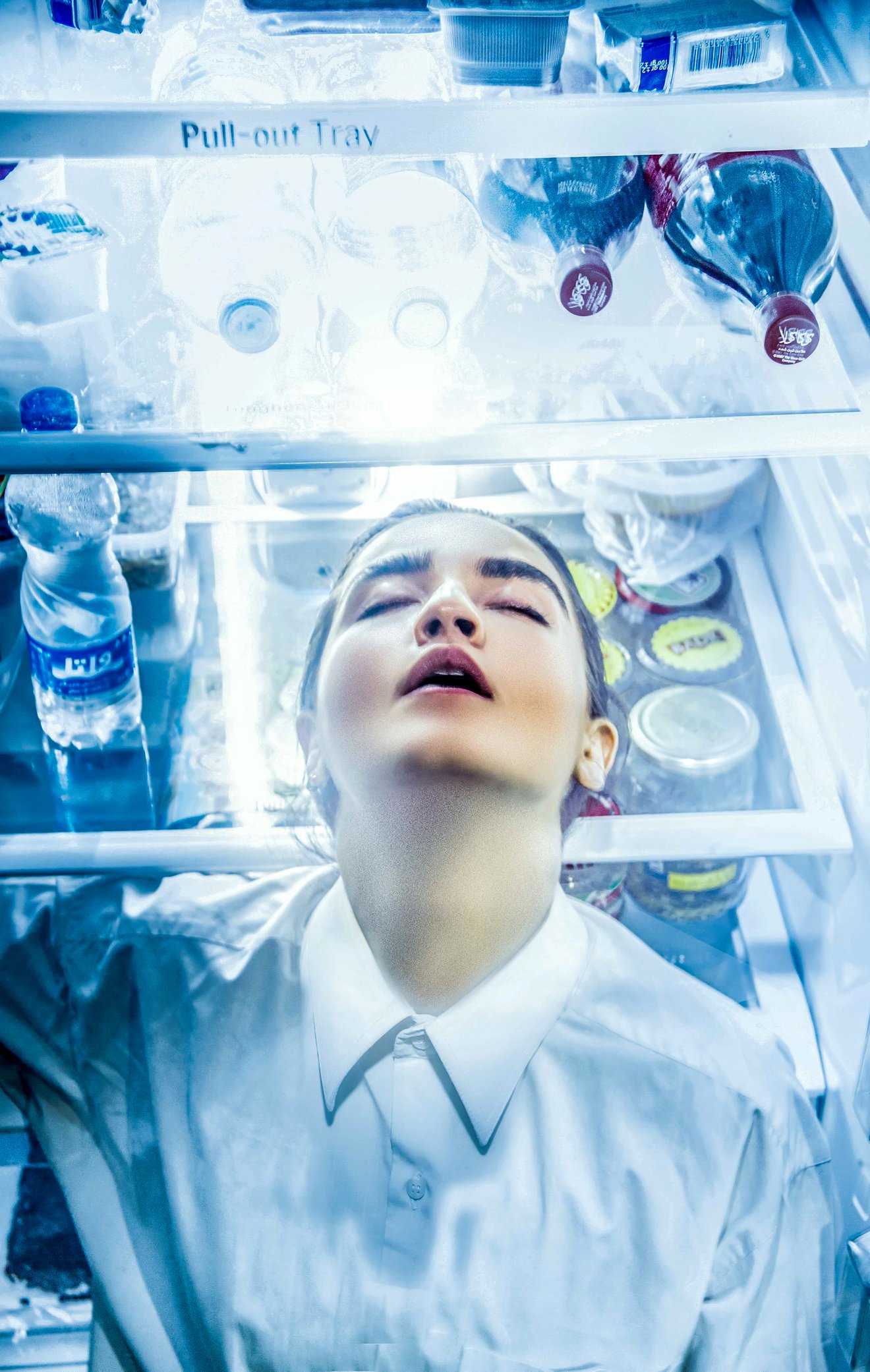 FRIDGE-Seed Nft