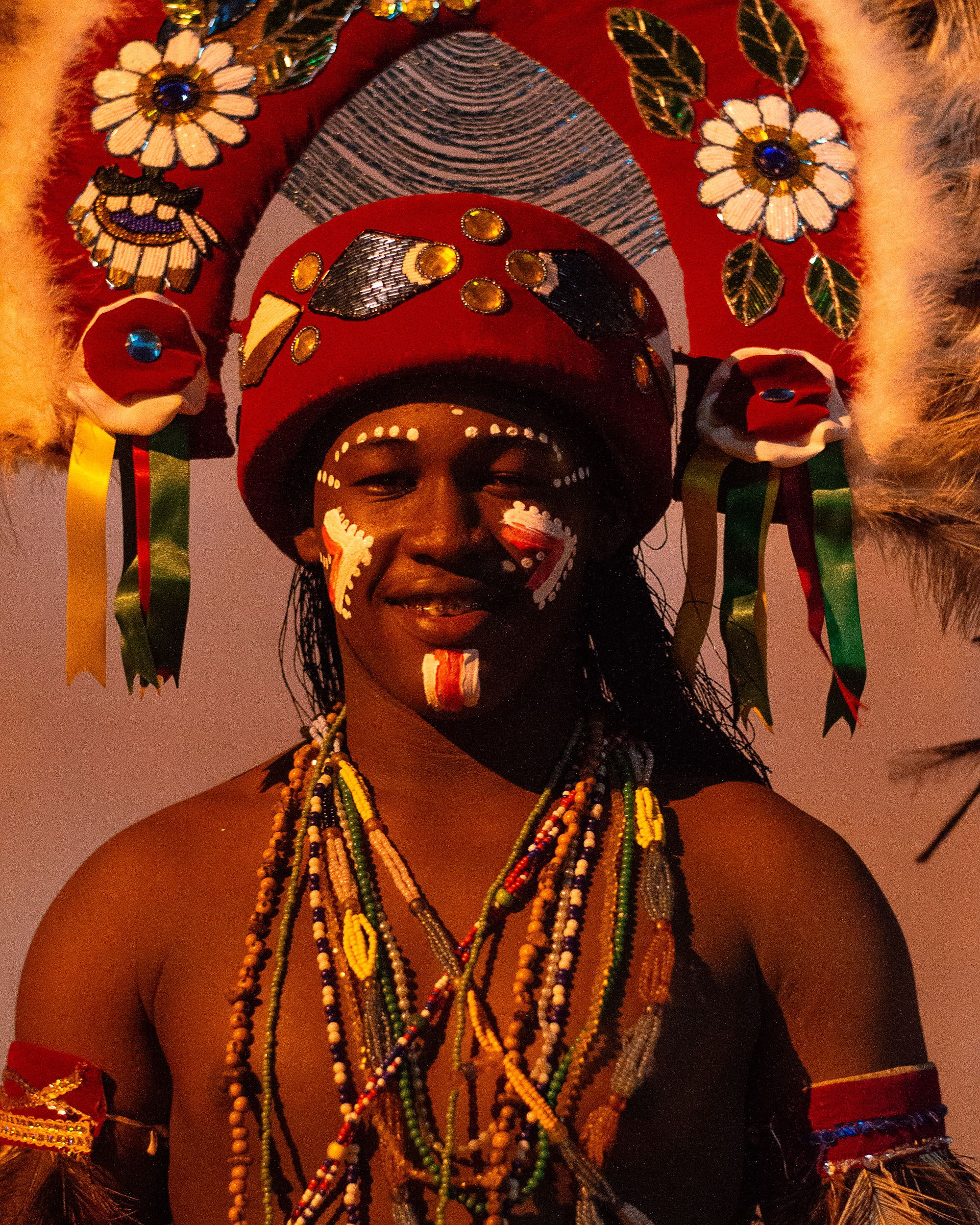 Brazilian Indigenous